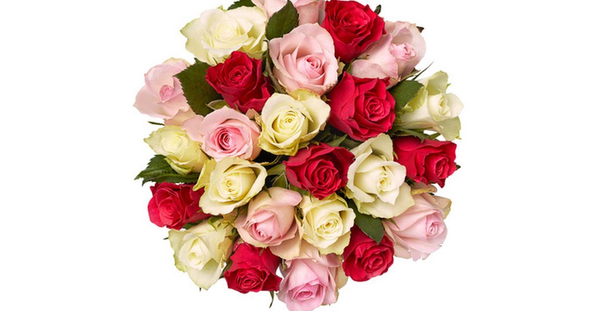 Lidl Valentine's Day shoppers are rushing to buy…