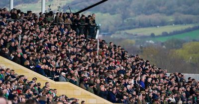 Local council launches "war on wee" to deter public urination during Cheltenham Festival