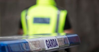 Gardai's cheeky message to driver who tests positive for four different kinds of drugs