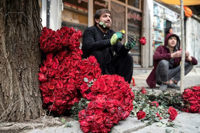 Kabul florists heartbroken over Taliban Valentine's Day ban