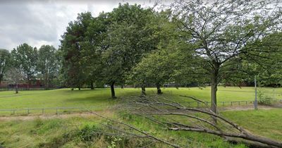 New images show how patch of grassland will be transformed into 'heart of Ancoats'