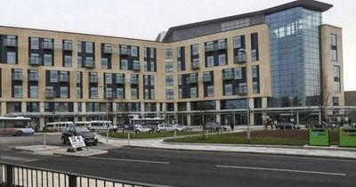 Bristol hospital's job that will make you fall in love 'over and over again'