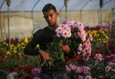 Valentine's Day frowned upon by many, but not all, in Gaza Strip