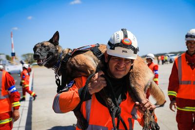 The dogs helping find earthquake survivors in Turkey