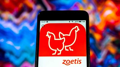 Zoetis Fetches A Quarterly Beat And Shares Surge To A Six-Month High