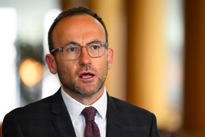 Greens will back safeguard mechanism revamp if Labor bans new coal and gas projects