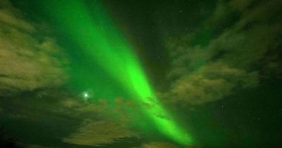 Seeing Northern Lights tops 'wish list' of travel experiences for 2023