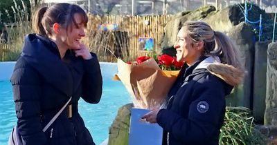 Woman surprises her penguin-obsessed partner with proposal surrounded by them