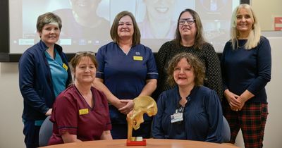 Glasgow's Queen Elizabeth hospital scoops Golden Hip award for patient care