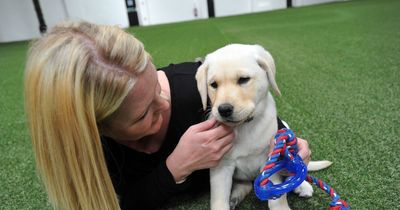 Action Petz indoor dog care centre in Cardiff to close hit by massive cost rises