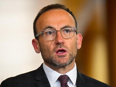 Government responds to Greens' push for end of coal