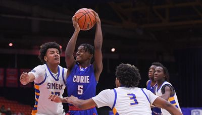 Sectional notebook: Insights and observations on the IHSA state playoff bracket