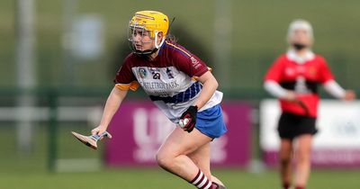 'We're devastated' - UL Camogie captain Siobhan McGrath on Ashbourne Cup fiasco