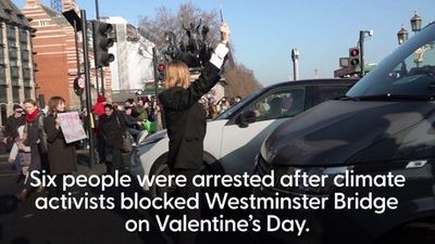 Animal Rebellion protesters confronted by the public on Westminster Bridge
