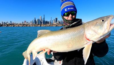 Early coho reports are coming in as well as ongoing perch on southern Lake Michigan