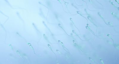 New generation of non-hormonal male contraceptive pills could stop sperm swimming during sex