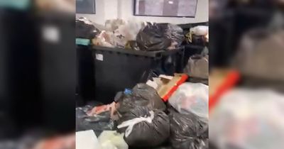 Dad films overflowing bins on visit to daughter's 'high-quality' flats