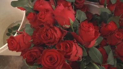 Rising Valentine: Kenyan rose farmers hit by inflation