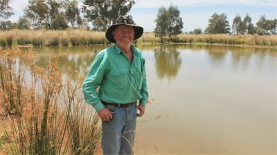 Bush revegetation boosts farmer Steve Matthews' mental health after years of drought