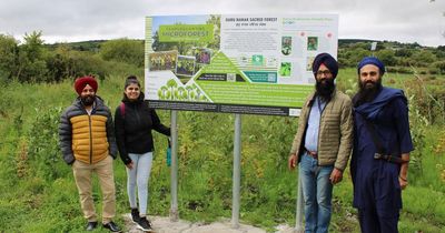 Irish Sikh environmental activists join Reforest Nation to plant 10,000 trees for Ukraine