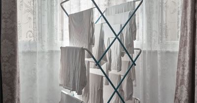 Mum's 'game-changer' laundry hack means 'no more folding' and 'minimal creasing'