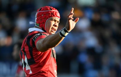 Toulon's Springbok Kolbe 'not going anywhere' after Japan rumours