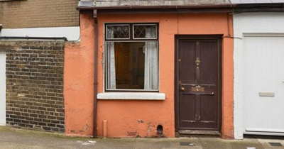 Check out Dublin's tiniest cottage on sale for eye-watering price