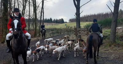 Probe launched as Renfrewshire foxhunt accused of running roughshod over reserve