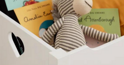 Best storage boxes for kids toys and quick clear ups at home