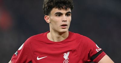 Stefan Bajcetic handed huge FIFA 23 upgrade after impressive Liverpool breakthrough