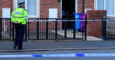 Attempted murder suspect could stand trial after woman stabbed with machete