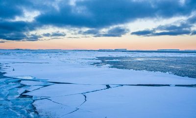 ‘Extreme situation’: Antarctic sea ice hits record low