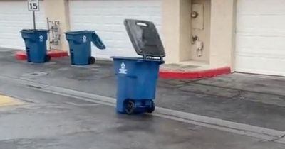 Speeding wheelie bin nearly ploughs straight into man in dangerous 40mph gales