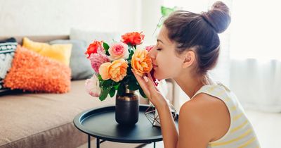 Expert reveals place you should never put a vase if you want roses to keep