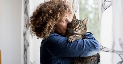 'I'm allergic to my girlfriend's cat - so I'm demanding she gets rid of it'