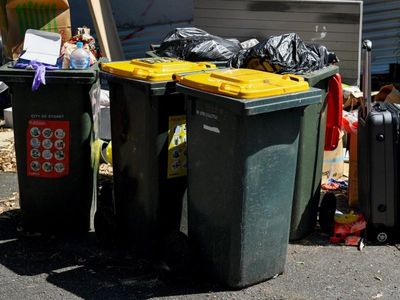 Business calls on govt to clean up Sydney rubbish row