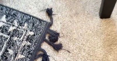Woman shares hack to stop rug corners rolling up - which people 'need' to try