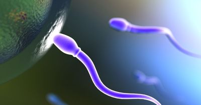A male contraceptive is 'possible' thanks to 'game-changer' drug