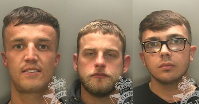 Three young men with 'good prospects' ran drugs line from small town