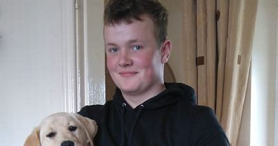 'Wholly innocent' teenager crushed to death by tractor after safety breaches