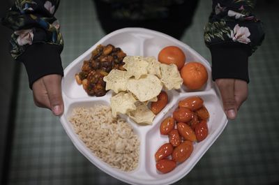 A new study offers hints that healthier school lunches may help reduce obesity