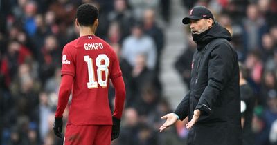 Jurgen Klopp's 'golden rule' dying out at Liverpool as Cody Gakpo oblivious