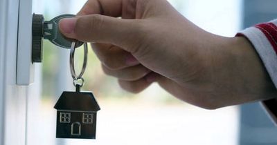 Government urged to provide tax breaks and NCT-style checks for landlords