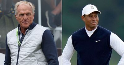 LIV Golf rebels tipped to fill void left by Tiger Woods as two new signings confirmed