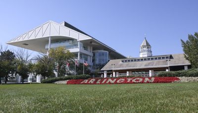 Bears close deal for Arlington Heights site, Lightfoot targets Johnson and more in your Chicago news roundup