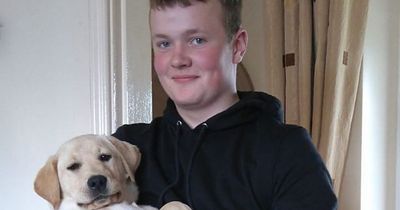 Trainee mechanic, 17, crushed to death by tractor during work placement on farm