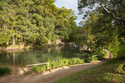 Poodunnit: hunt on for source of bacterial contamination that closed popular Gold Coast swimming hole