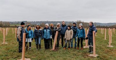 Ambitious plan for Winnie-The-Pooh sized woodland with 40,000 trees near Bristol