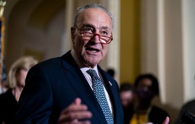 Top United States lawmaker Chuck Schumer expected to visit India