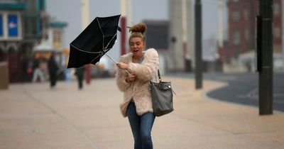 Yellow warning for wind as gusts expected to hit 59mph in some areas of West Lothian